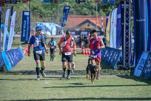 BIB: 
                            <button type="button" onclick="openModal(26793484)" class="btn btn-primary btn-sm float-right btn-popup" data-toggle="modal" data-target=".modal-high-quality">
                        <i class="fas fa-shopping-cart"></i> Add to Cart
                    </button>
                                            <button type="button" onclick="isThisMe(26793484, true)" class="btn btn-success btn-sm float-right btn-popup btn-isme hidden" data-toggle="tooltip" data-placement="bottom" title="นี่คือรูปของคุณใช่ไหม คลิกที่นี่เพื่อเอาเข้าอัลบั้ม">
                        <i class="fas fa-plus"></i> Add to album
                    </button>
                    <button type="button" onclick="isThisMe(26793484, false)" class="btn btn-warning btn-sm float-right btn-popup btn-isnotme hidden">
                        <i class="fas fa-ban"></i> Remove from album
                    </button>